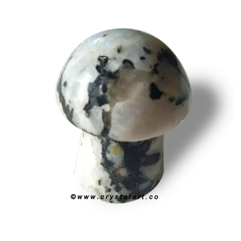 Rainbow Moonstone Stone 2 Inch Healing Stone Mashroom