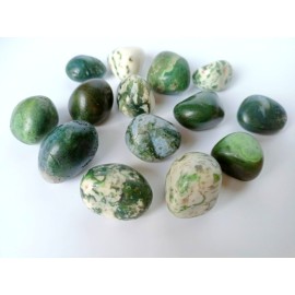 Tree Agate Fully Tumbled Stones