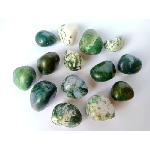 Tree Agate Fully Tumbled Stones