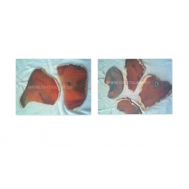 Red Carnelian Agate Slices