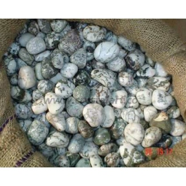 Green Tree Agate Tumbled Pebbles Stone