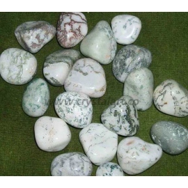 Green Tree Agate Tumbled Pebbles Stone