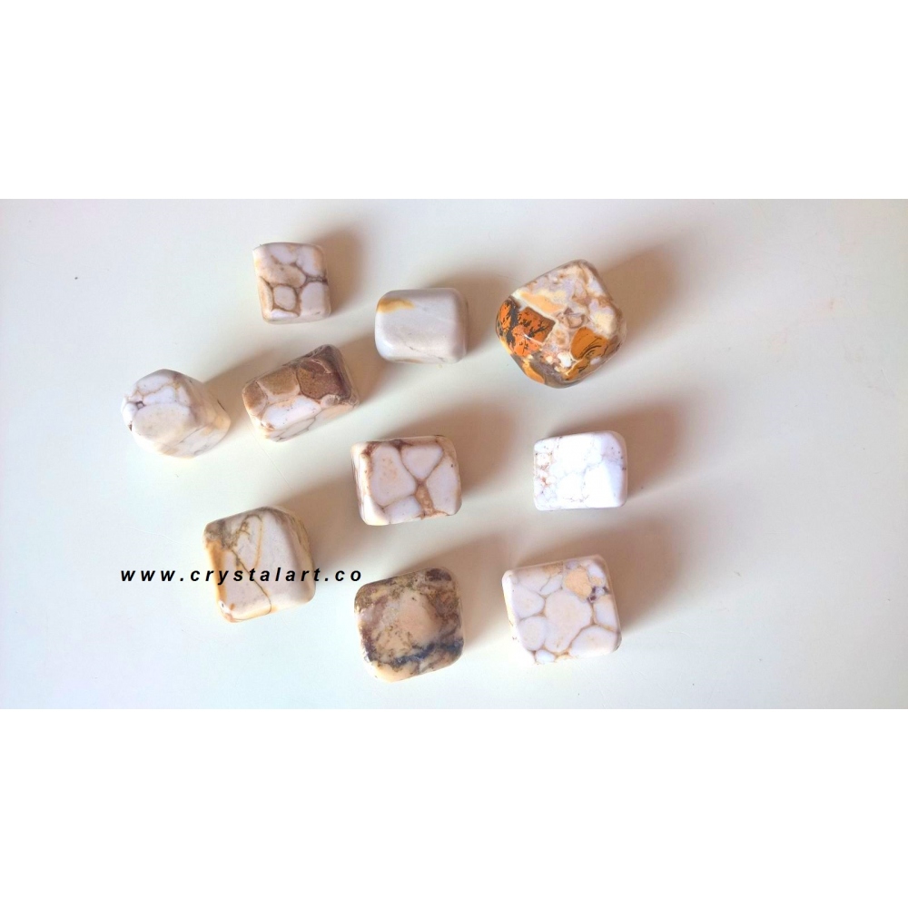 Dalmation Jasper Agate Tumbled Pebbles Stone