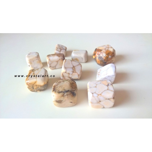 Dalmation Jasper Agate Tumbled Pebbles Stone