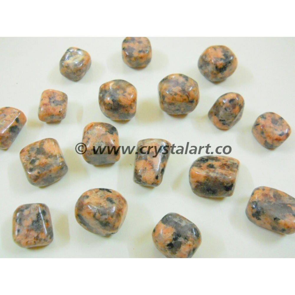 Dalmation Jasper Tumbled Pebbles Stone