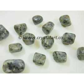 Dalmation Jasper Tumbled Pebbles Stone